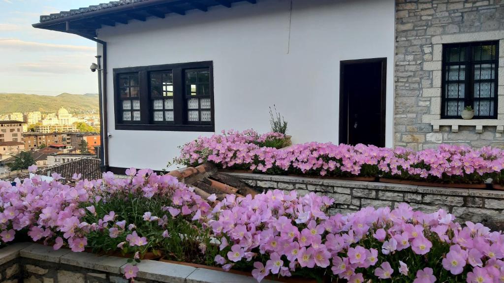 Giardino di Hotel Vila Aleksander
