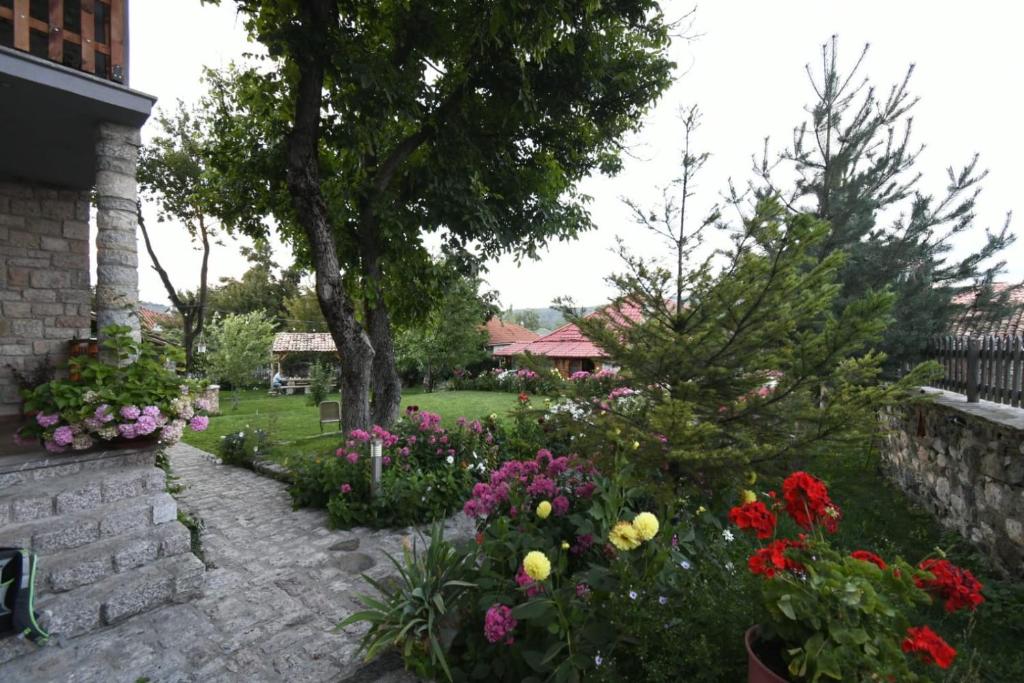 Zahrada ubytování Bujtina SHKODRANI