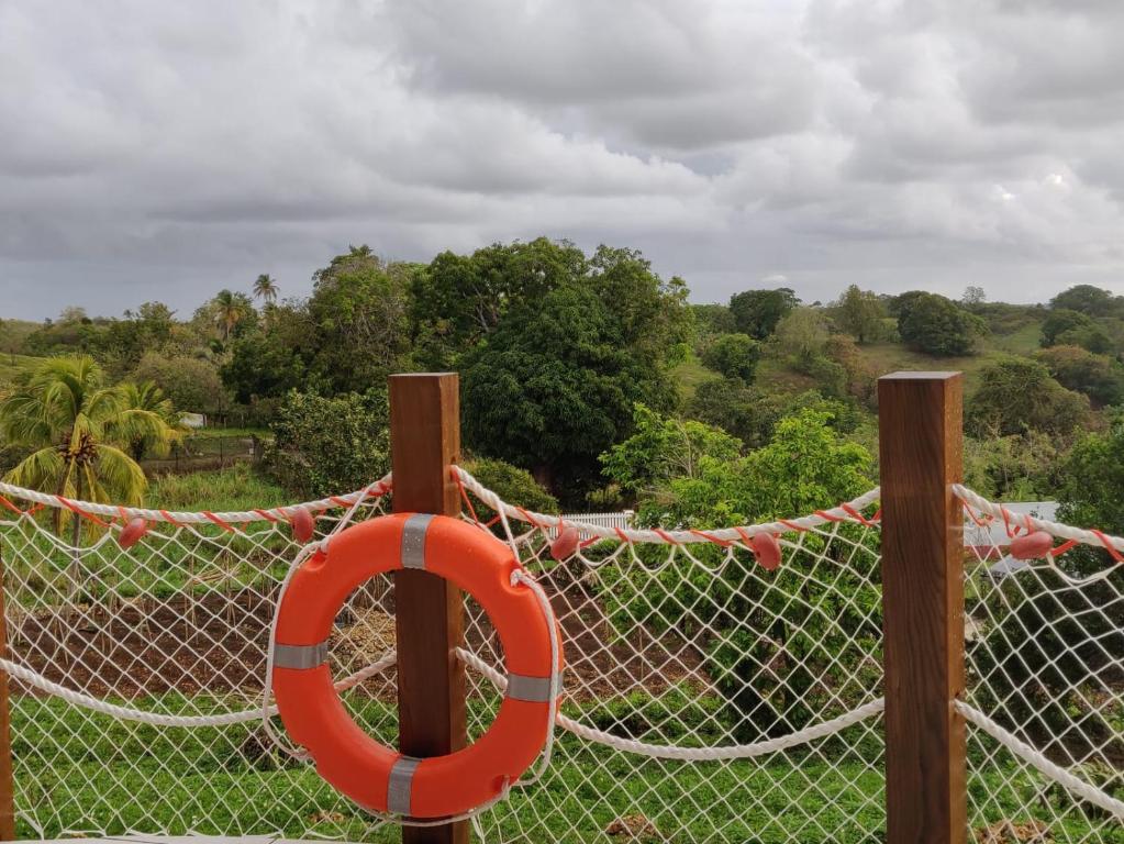 a chain link fence with an orange ring on it at Les jardins d'Émilie in Le Moule