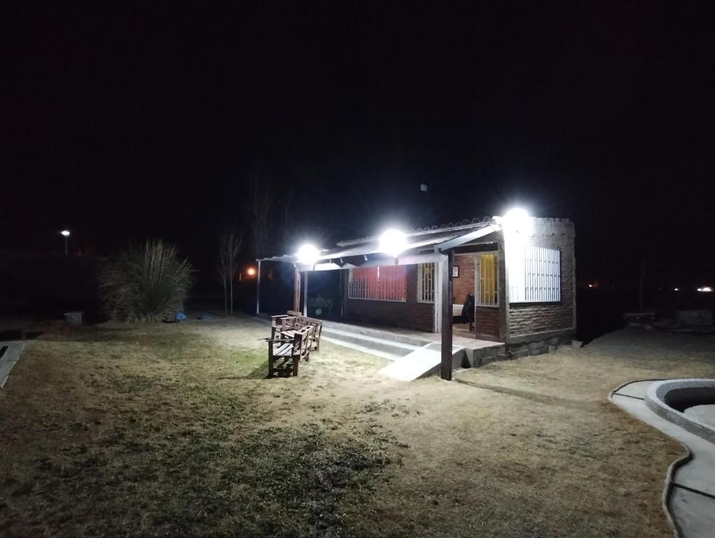Los Búhos