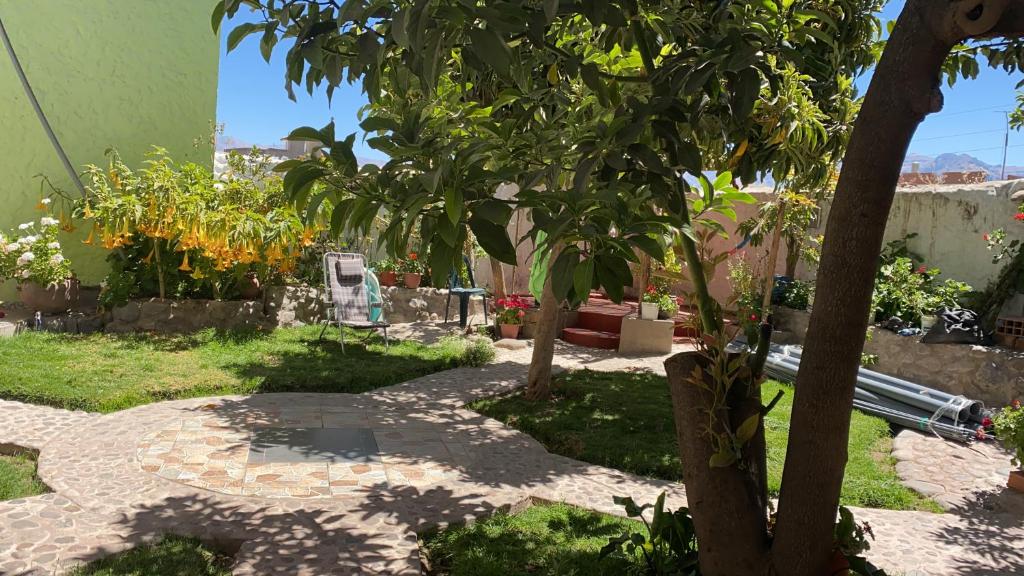 un jardín con un árbol y una pasarela de piedra en Las Palmeras Eco Hostel, en Cabanaconde