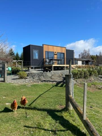 two chickens standing in the grass in front of a house at Boutique Tiny House - Te Anau Country Accommodation in Te Anau