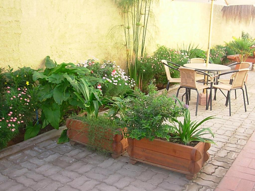Aed väljaspool majutusasutust Hostal Balmaceda La Serena
