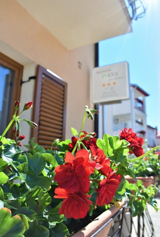 Apartments & Rooms Ivana - 7