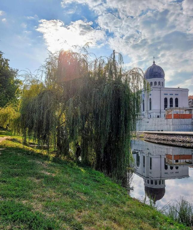 Liberte Apartments - Resim 17