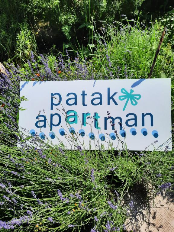 Patak Apartman, Diszel - Apartment With Garden View