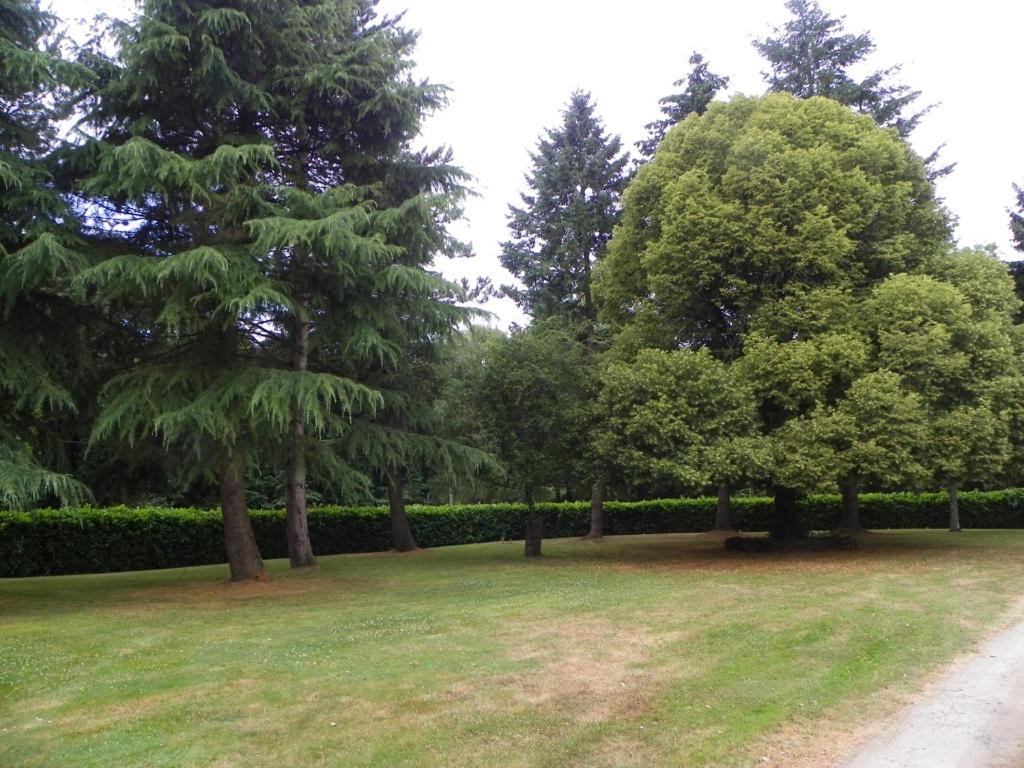 Vonkajšia záhrada v ubytovaní Manoir de Saint-Fiacre