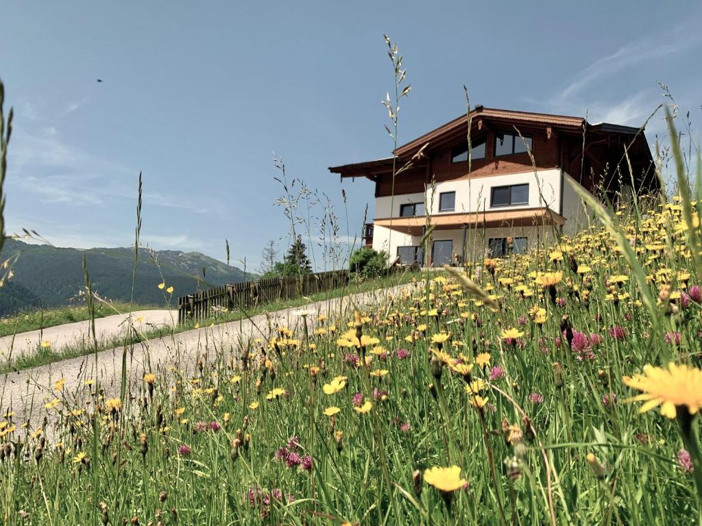 a field of flowers in front of a house at Moarhof in Unken