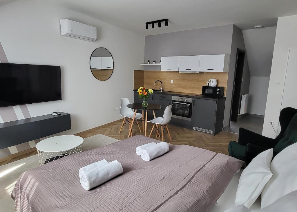 Kuchyň nebo kuchyňský kout v ubytování Dotis Apartman Tata