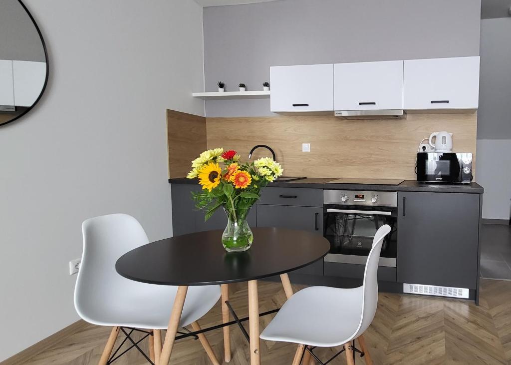 Kuchyň nebo kuchyňský kout v ubytování Dotis Apartman Tata