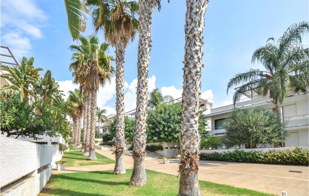 Vonkajšia záhrada v ubytovaní Cozy Home In Marina Di Ragusa With Wifi