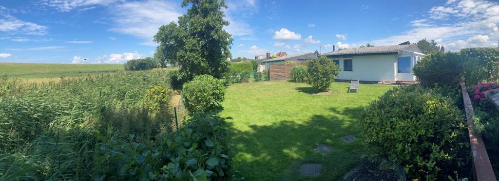 una casa in un campo con un albero nel cortile di Ferienhaus Frische Brise direkt am Nordsee Deich a Spieka-Neufeld