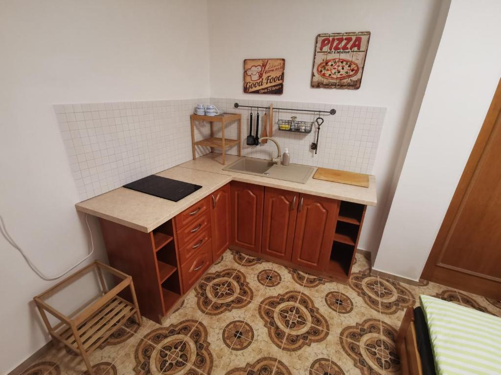 małą kuchnię ze zlewem i blatem w obiekcie Apartmán na Náměstí 55 w mieście Dürnholz