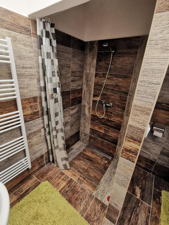 łazienka z prysznicem i drewnianą ścianą w obiekcie Apartmán na Náměstí 55 w mieście Dürnholz