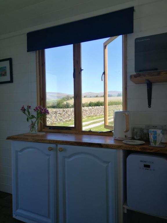 Kuchyň nebo kuchyňský kout v ubytování Sunny Mount Shepherd's Hut