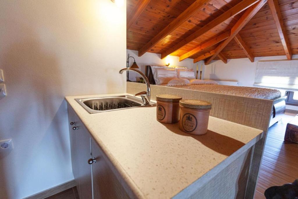 Kuchyň nebo kuchyňský kout v ubytování Alcedo Villa