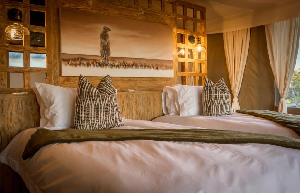 Imagine Africa Luxury Tented Camp - Superior Double Or Twin Room With Mountain View