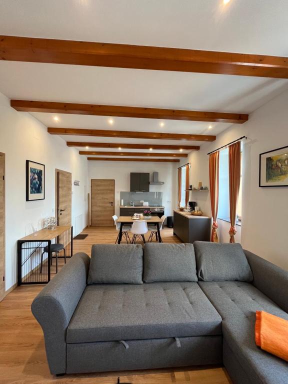 ein Wohnzimmer mit einem Sofa und einem Tisch in der Unterkunft T&T Apartments in Mönchmeierhof
