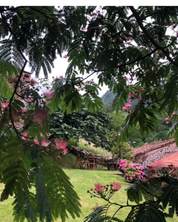 Vonkajšia záhrada v ubytovaní HdeC Hosteria de Castañeda Alojamiento Turistico