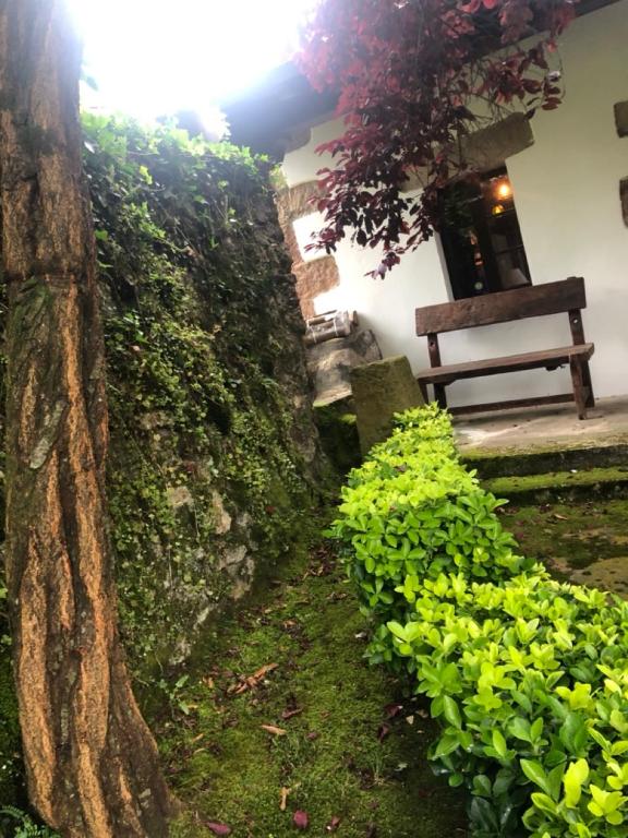 Vonkajšia záhrada v ubytovaní HdeC Hosteria de Castañeda Alojamiento Turistico