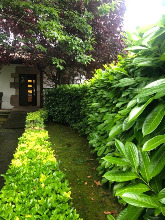 Vonkajšia záhrada v ubytovaní HdeC Hosteria de Castañeda Alojamiento Turistico