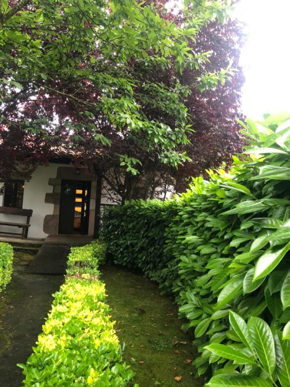 Vonkajšia záhrada v ubytovaní HdeC Hosteria de Castañeda Alojamiento Turistico