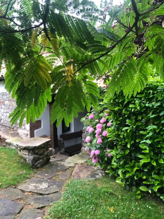 Vonkajšia záhrada v ubytovaní HdeC Hosteria de Castañeda Alojamiento Turistico