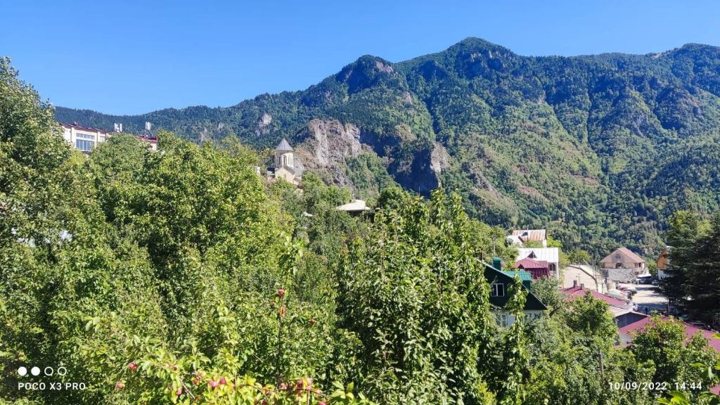 uma vista para uma montanha com árvores e casas em luka 55 em Khulo