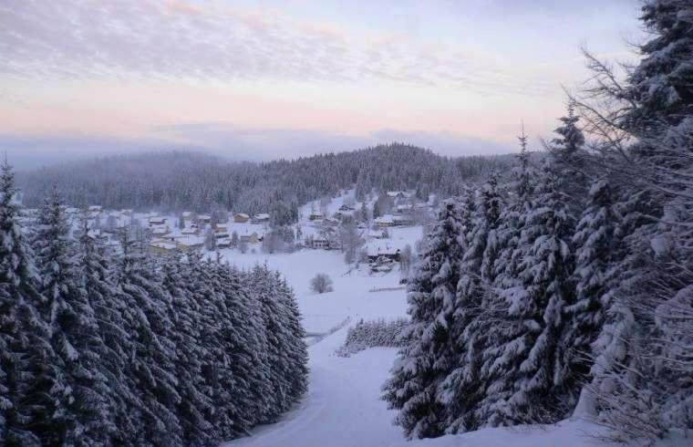 莫爾比耶的住宿－Style of Industry，树木覆盖的雪覆盖森林的空中景观