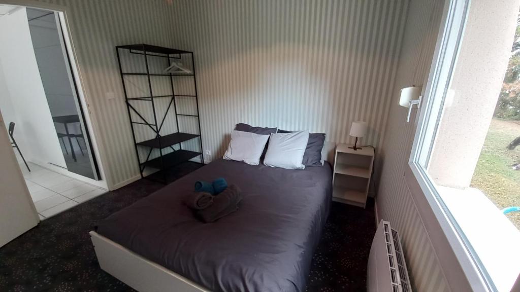1 dormitorio pequeño con 1 cama con 2 almohadas en Studio Privé Dijon, en Dijon