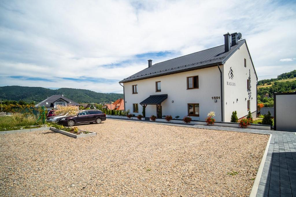 Apartamenty Black Lion - 14