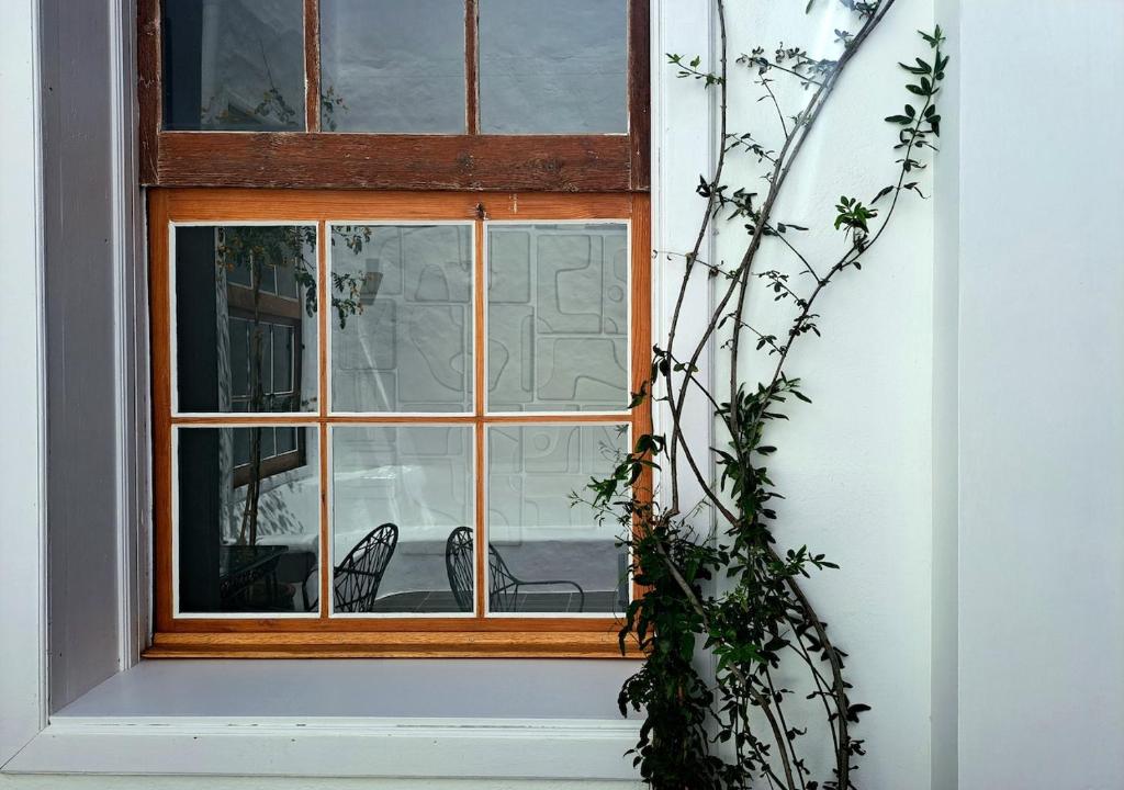 Afbeelding uit fotogalerij van Casa de las Flores - Hotel Boutique Lanzarote in Teguise