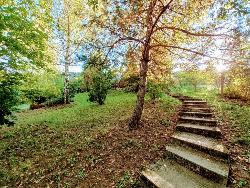 een trap in een park met een boom bij The WoodHouse Vendégház in Nagymaros