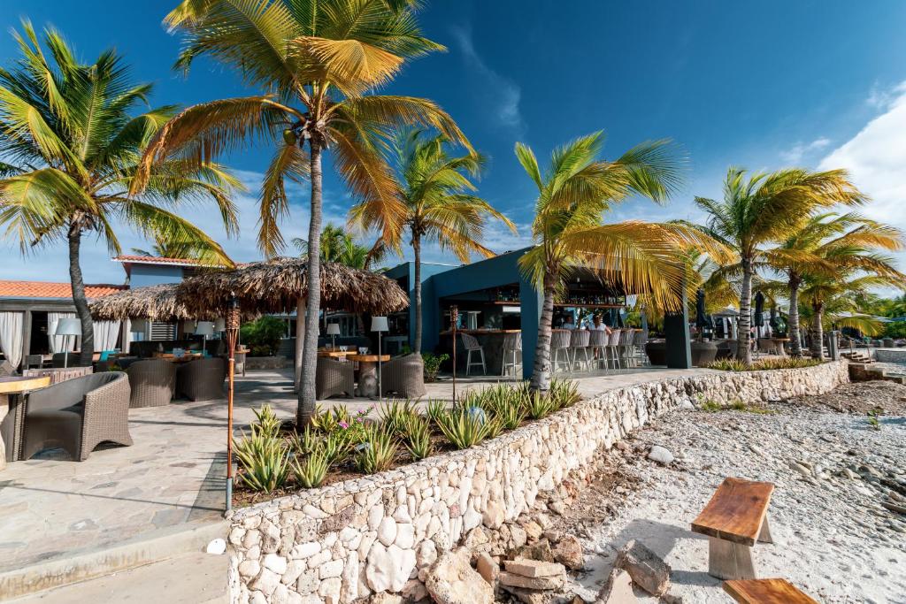 Fotografie z fotogalerie ubytování Delfins Beach Resort Bonaire, Tapestry Collection by Hilton v destinaci Kralendijk