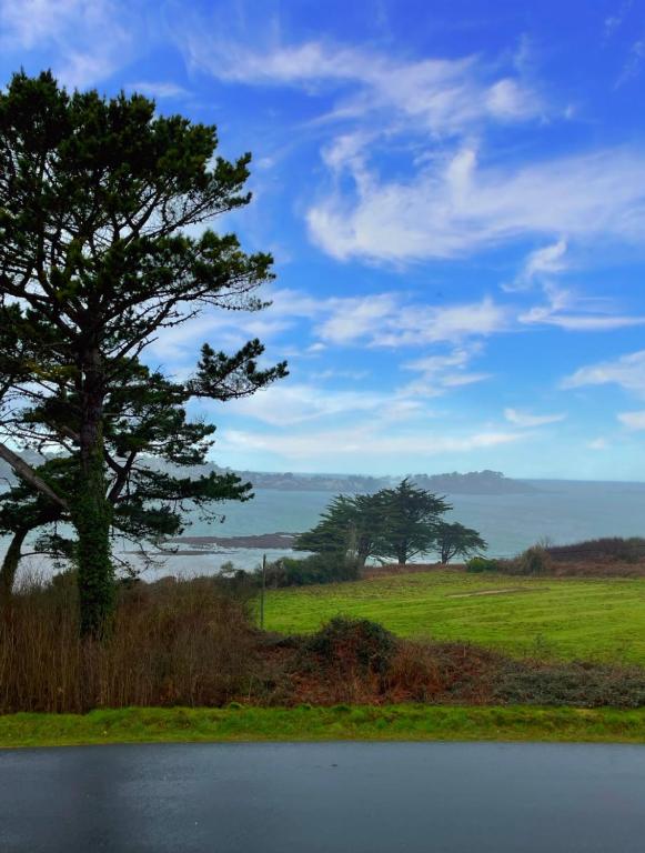 un arbre sur le côté d'une route avec un champ dans l'établissement Résidence route de la corniche vue mer, à Plestin-les-Grèves
