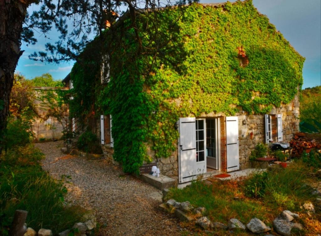 an ivy covered house with a cat sitting in front of it at LA MAISON D'ANNIE in Banne