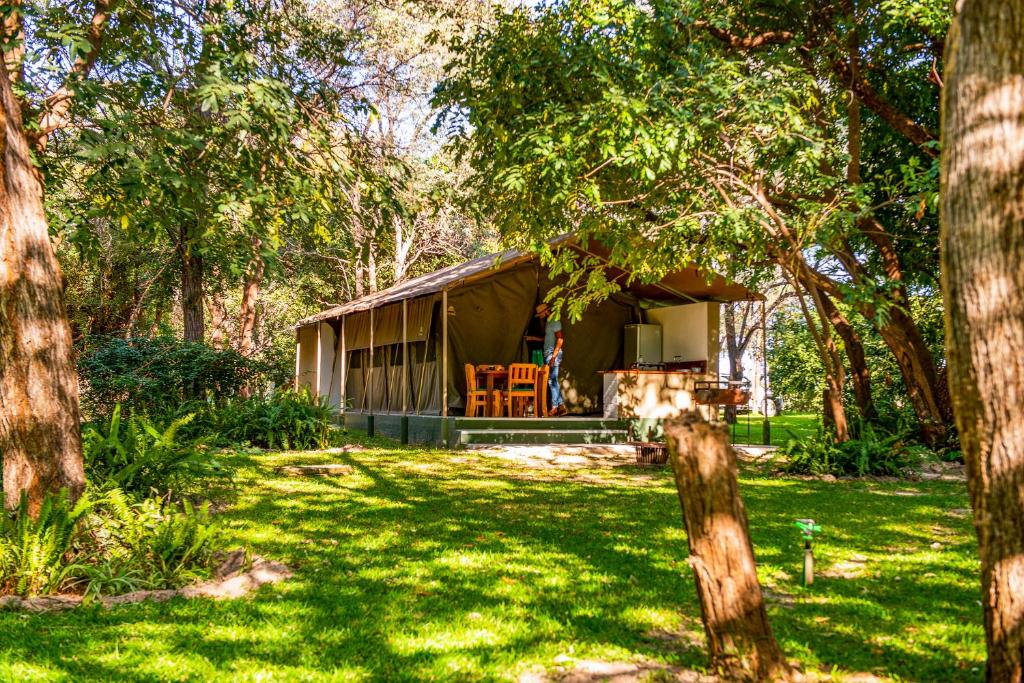 a tent in the middle of a yard with trees at Zambezi Mubala Camp in Katima Mulilo