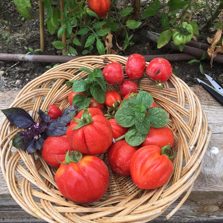 La Chapelle sur la Sorgue - 8