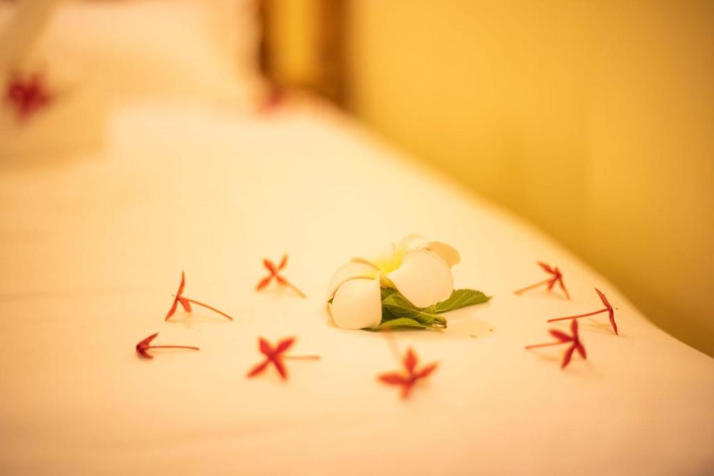 a white flower sitting on top of a bed at Tranquil Thoddoo in Thoddoo