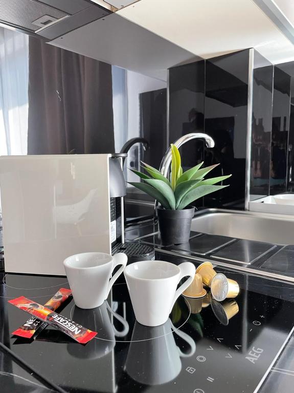 Kuchyň nebo kuchyňský kout v ubytování LUXSUITES