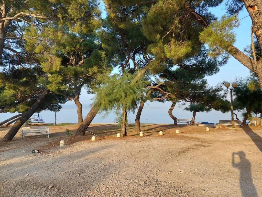 Príroda v okolí apartmánu