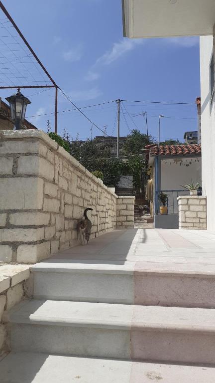 Fotografie z fotogalerie ubytování Cosy guest house v destinaci Sarandë