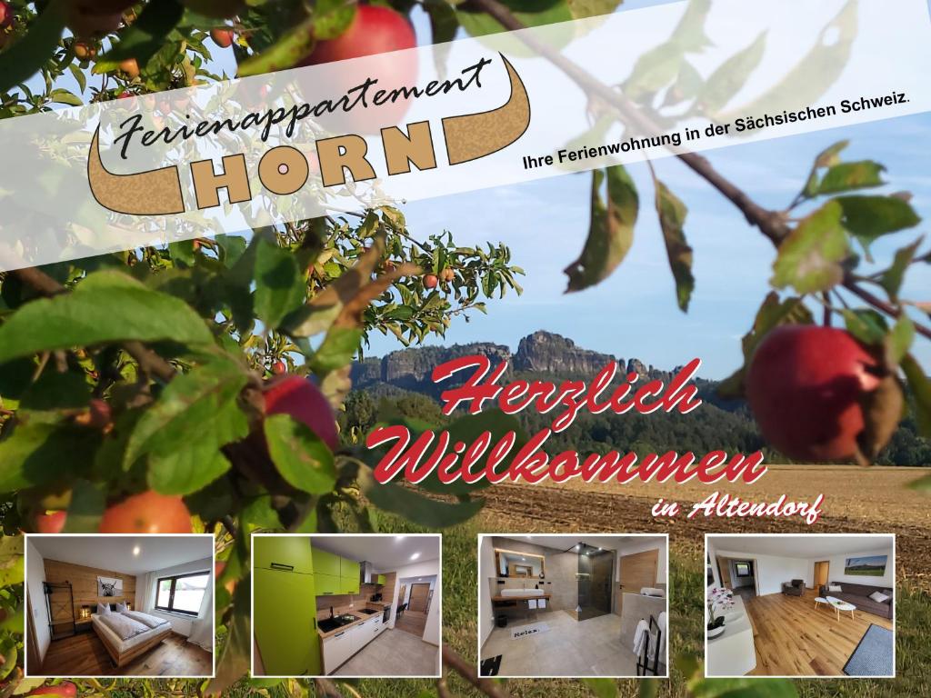 un collage de fotos de una habitación con manzanas en Ferienapartment Horn, en Altendorf