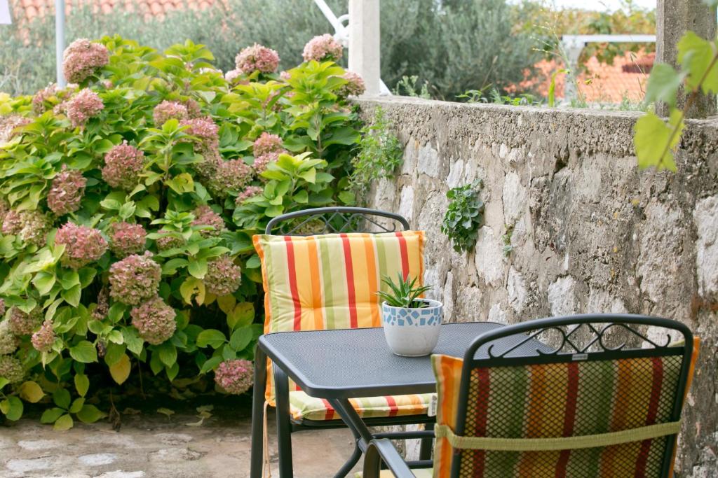 Zahrada ubytování Villa Bona Dubrovnik