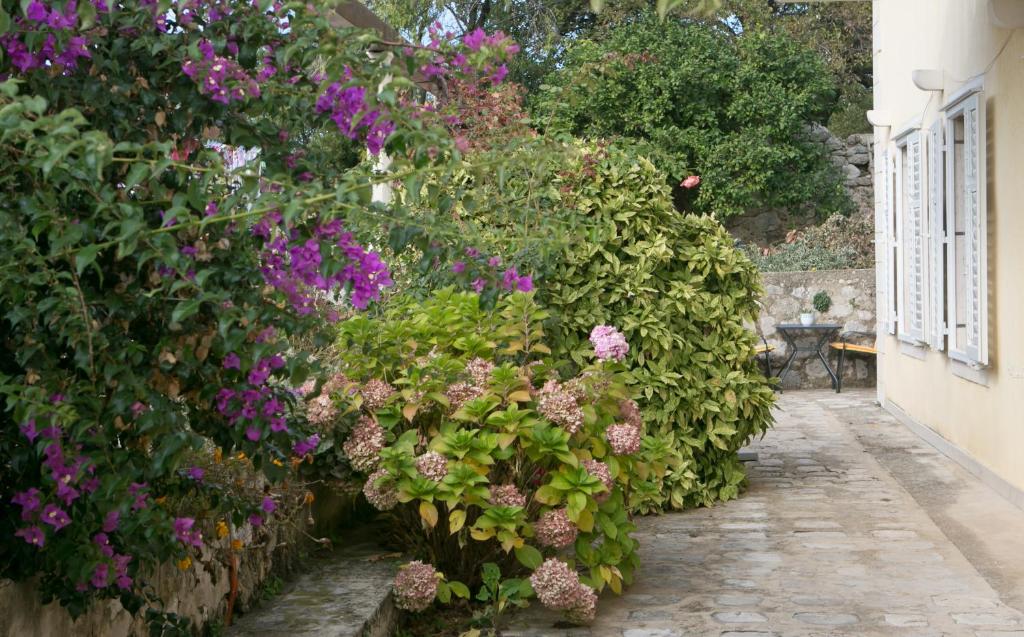 Zahrada ubytování Villa Bona Dubrovnik