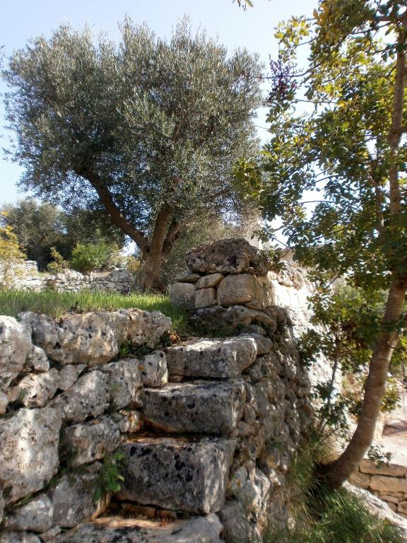 Zdjęcie z galerii obiektu Trullo Villa Giuliana con giardino Posizione panoramica Free wifi w mieście Ostuni