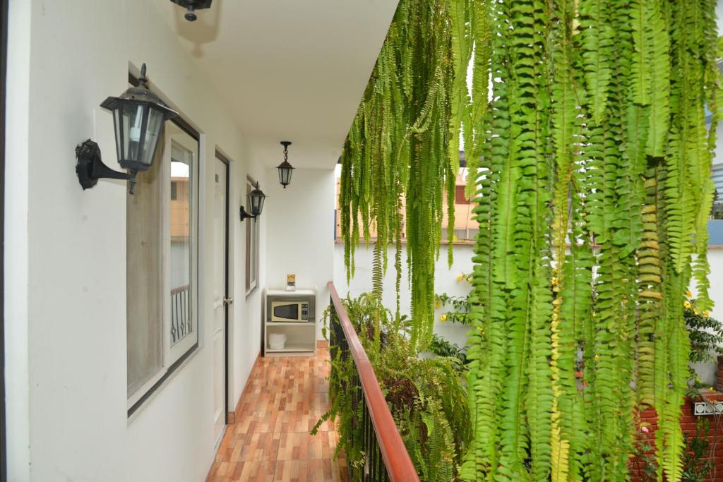 Zahrada ubytování Residencial Carlos