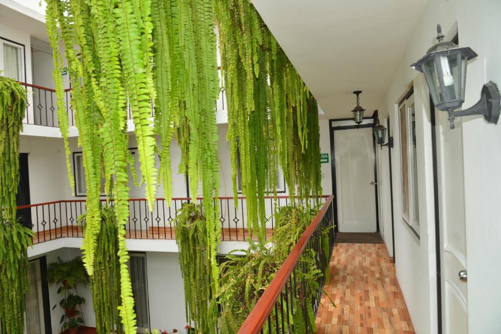 Zahrada ubytování Residencial Carlos