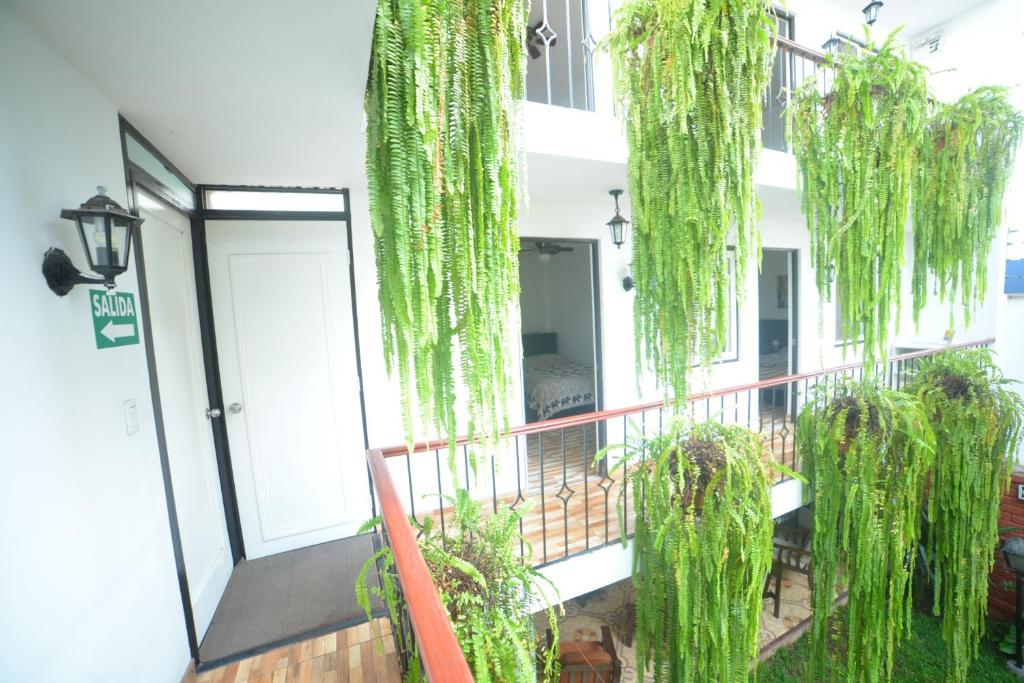 Zahrada ubytování Residencial Carlos