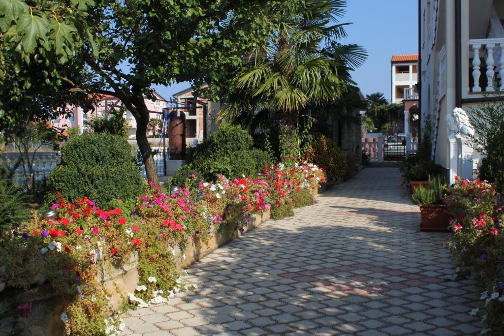 Zahrada ubytování Apartment Novigrad 7037b